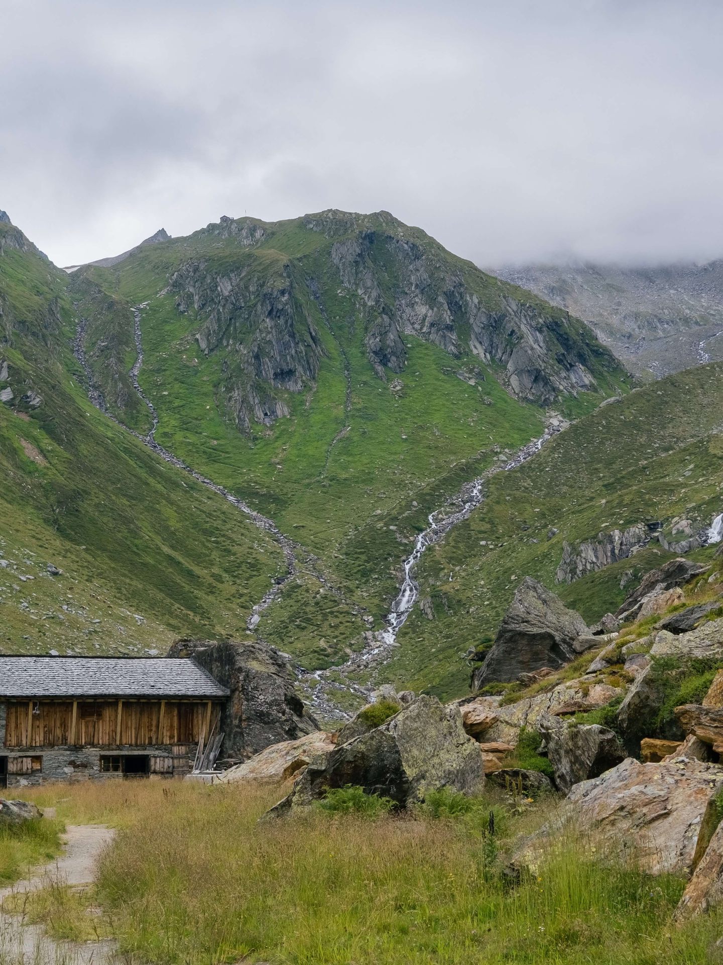 Valle alpina verde in estate
