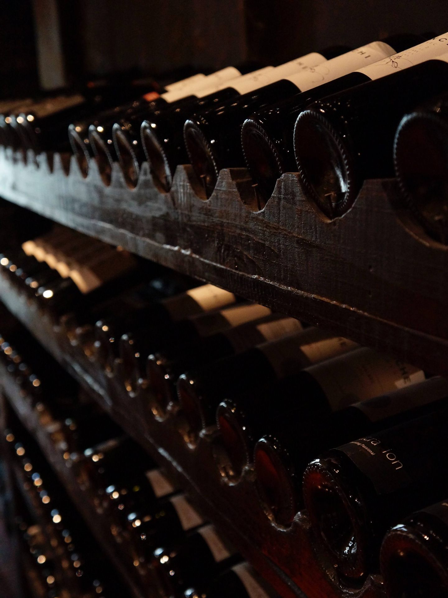 Bottiglie di vino in cantina